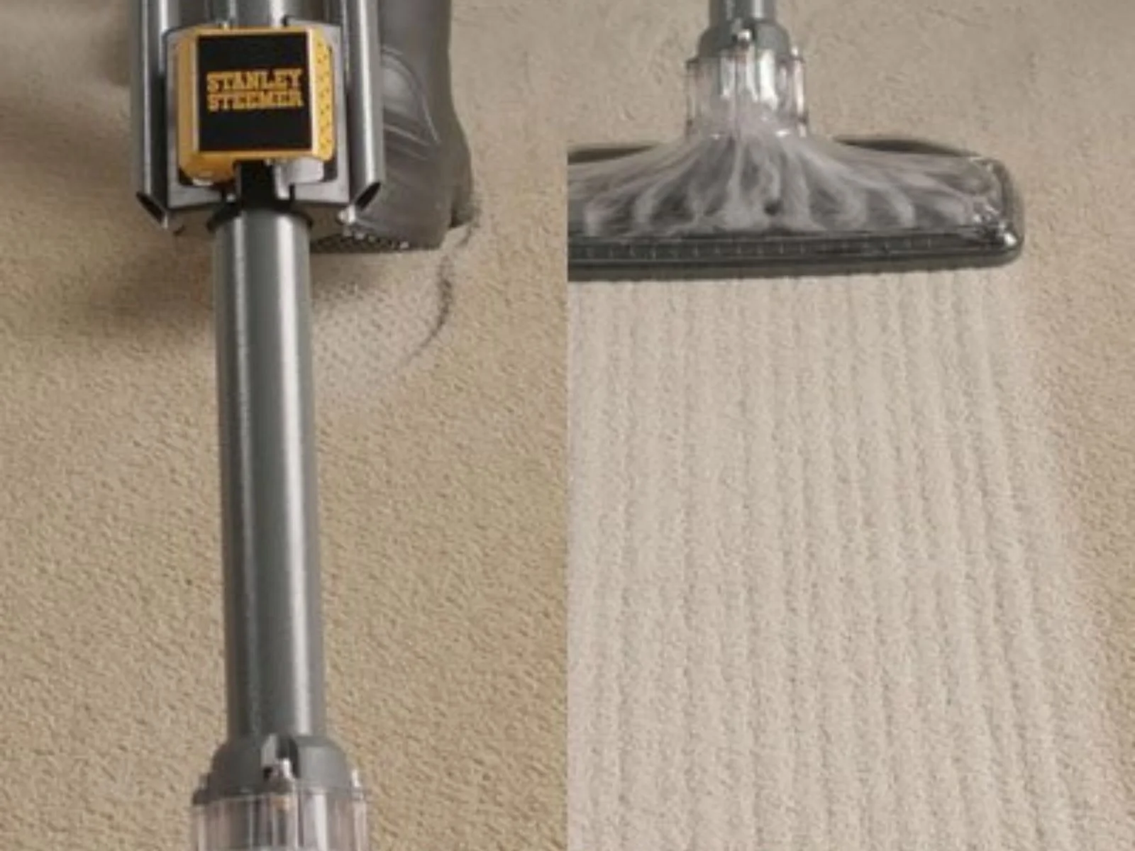 carpet cleaning twin cities